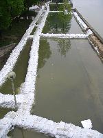 2006.04.21. - 1009 cm - 22.jpg